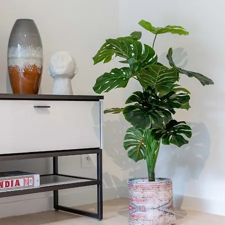 Coastal Elegance: Beachside Retreat With Private Parking * Ostend