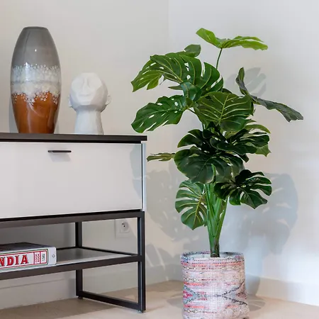 Coastal Elegance: Beachside Retreat With Private Parking Holiday home